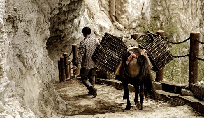 Traverse Through The Ancient Tea Horse Road 茶马古道