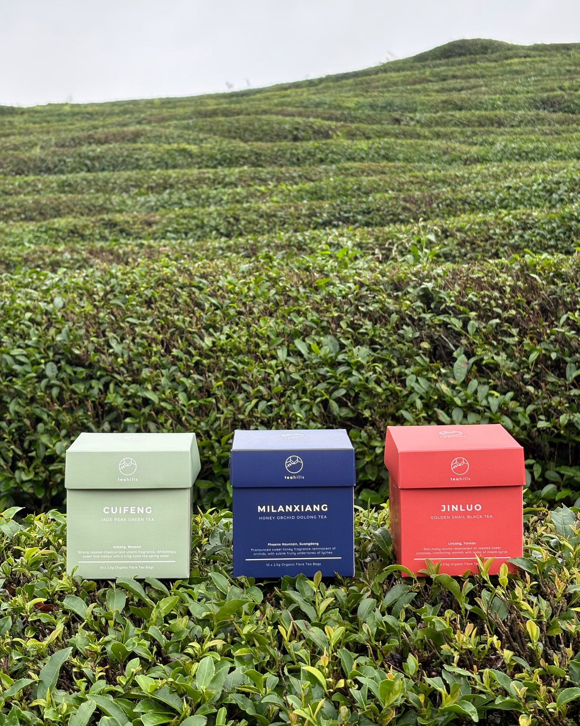 Best of Teahills - Bundle of 3