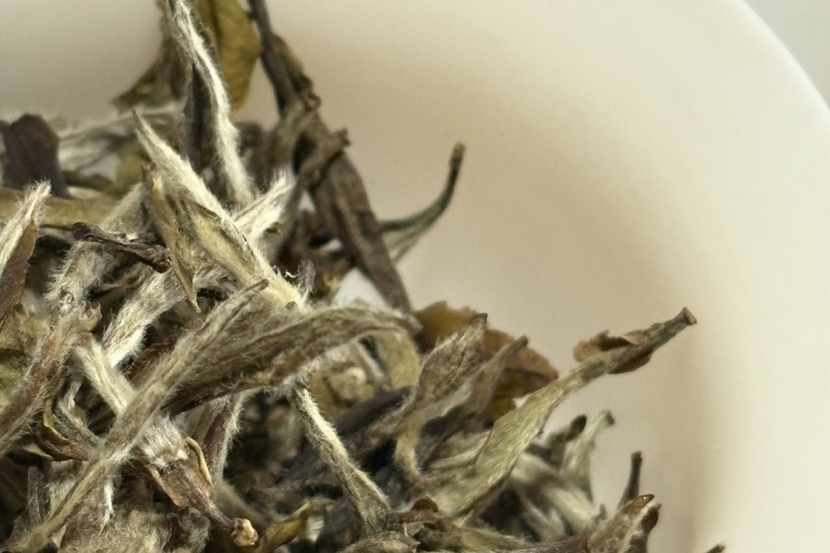 Did You Know, Tea Leaves Have Fur?