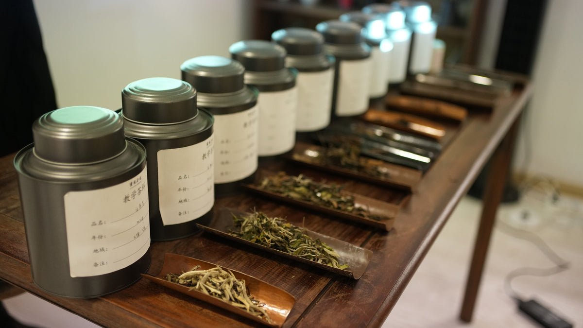 The Only 6 Types of Tea You Ever Need To Know