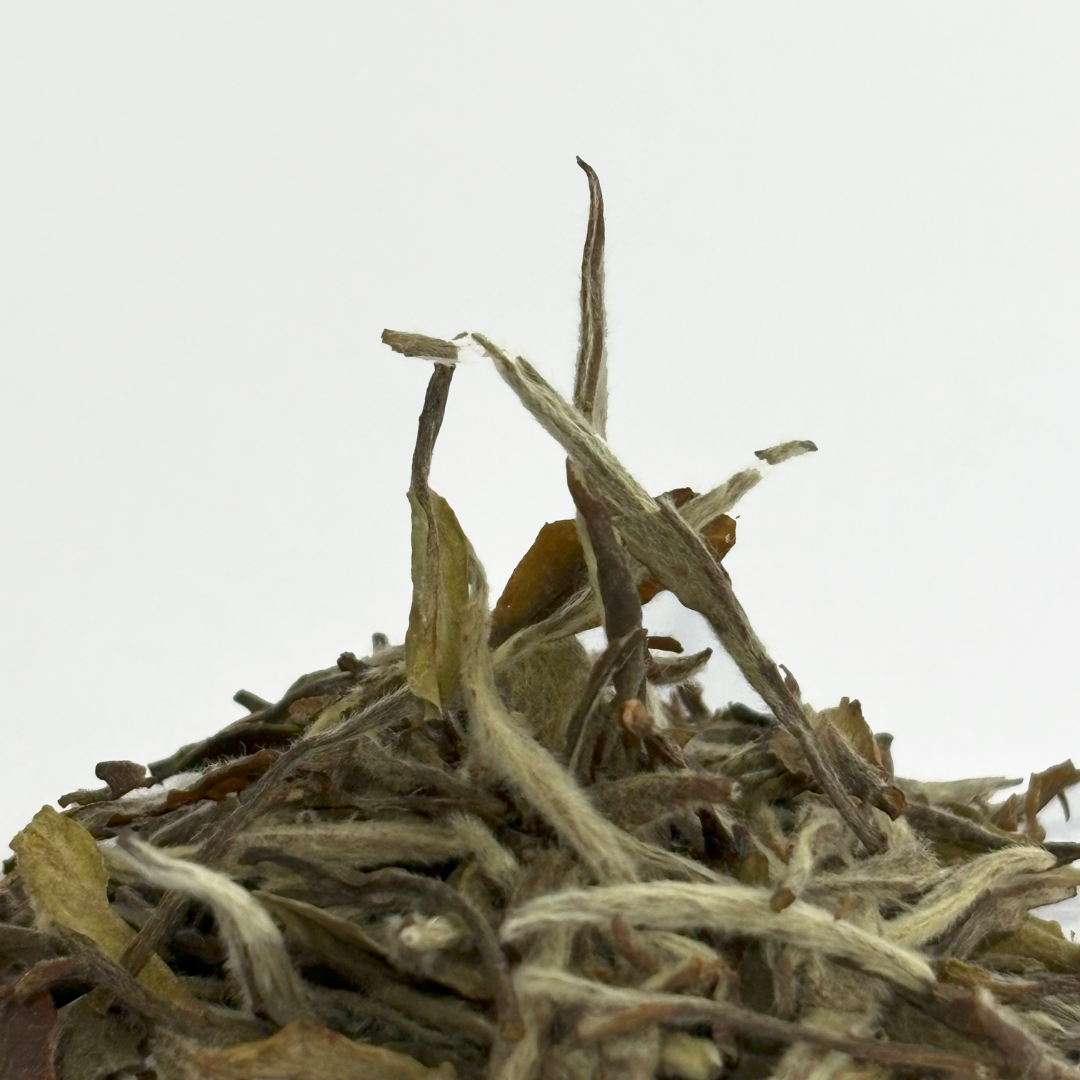 White Tea, BAIMUDAN